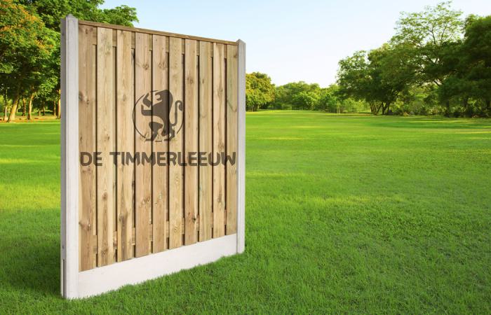 Wit beton Grenen Scherm